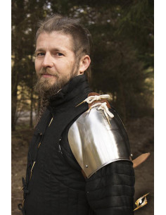 Schoudervullingen Churburg armor gepolijste afwerking,...