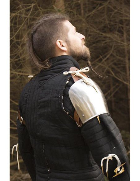 Schoudervullingen Churburg armor...