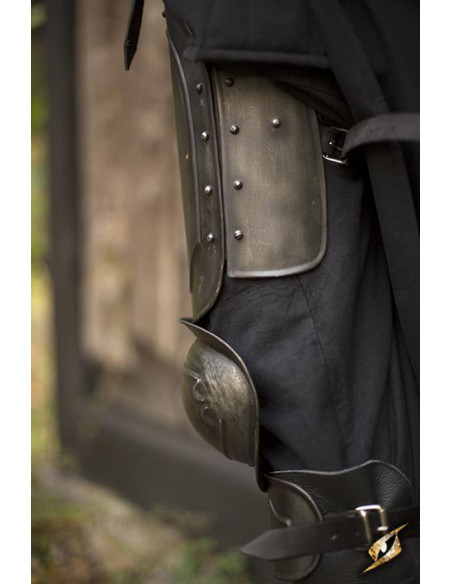 Volledig beenpantser LARP of the...