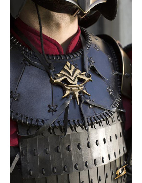 Shield Ratio Symbol pantser hanger,...