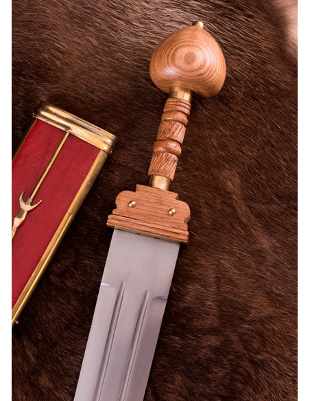 Spatha romana larga de legionario...