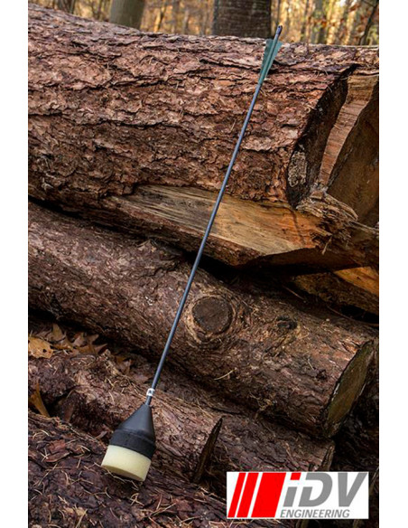 Flachkopf-Bogenpfeil, Schwarz/Grün