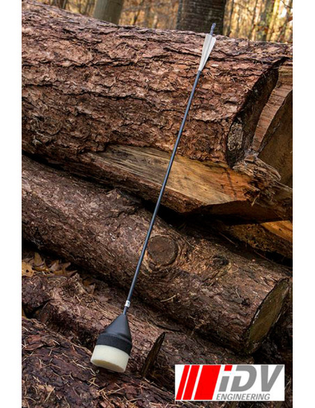 Flachkopf-Bogenpfeil,...