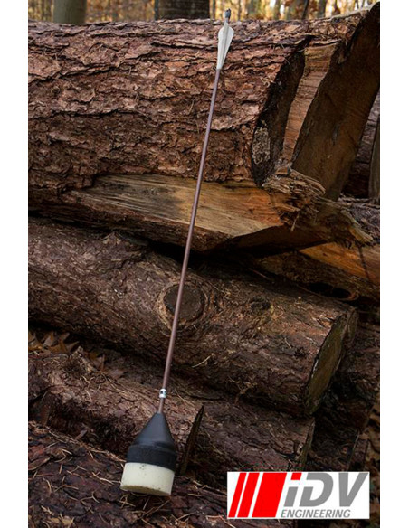 Flachkopf-Bogenpfeil,...