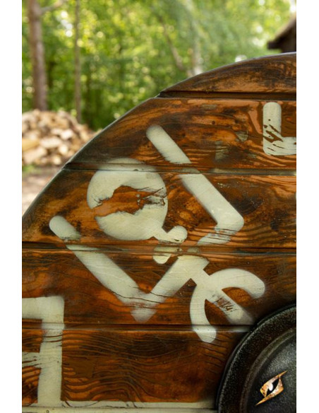 Wikingerschild Vegvisir Iarla aus...