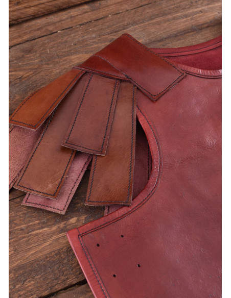 Romersk subarmalis i brunt...