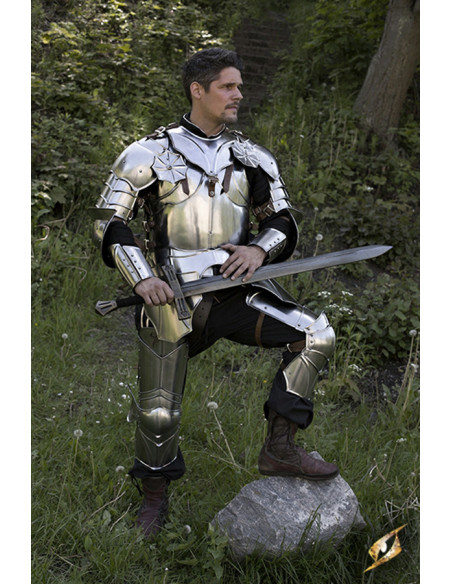 Fuld gotisk rustning M/L, Epic Armory