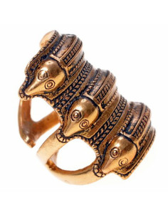 Scandinavische ijzertijdring in Segerstad