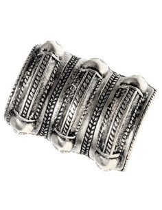 Scandinavische ijzertijdring in Segerstad 2