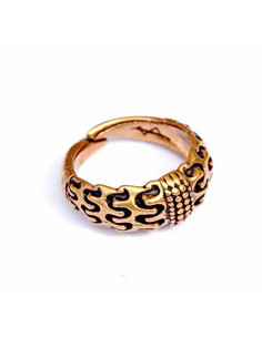 Vikingring Falster Orupgaard Denemarken 2