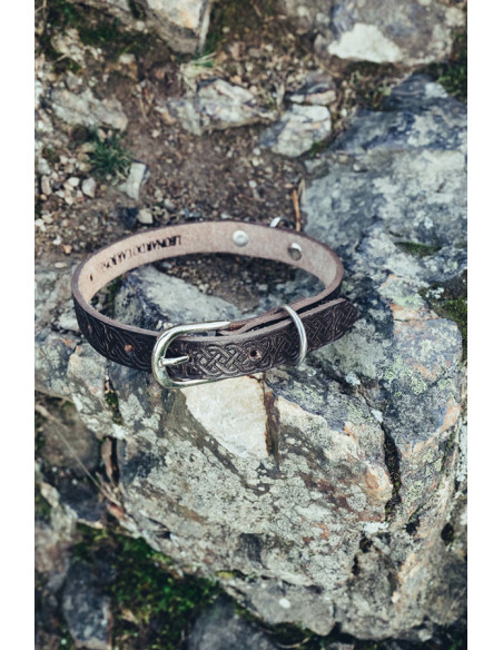 Collar de perro con sello Celta,...