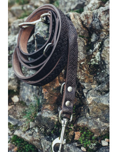 Ferris-Hundeleinen-Set + Maddox-Halsband