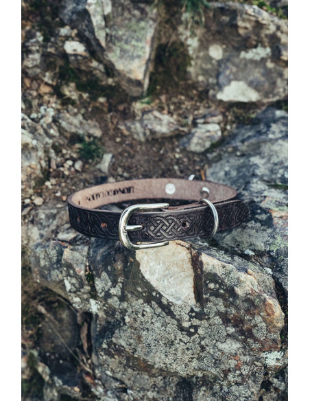 Ferris hondenriem set + Maddox halsband