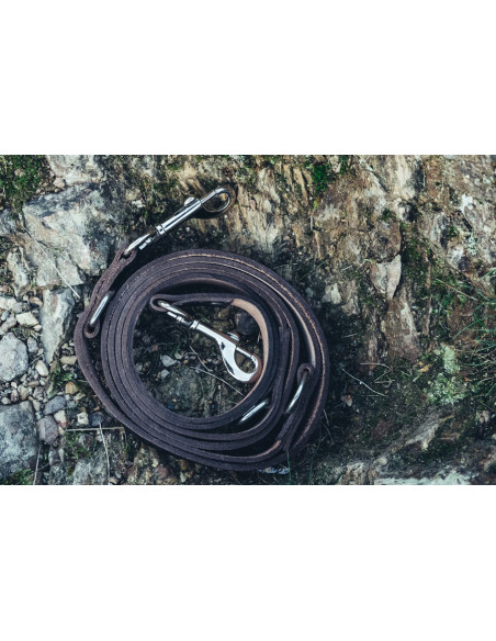 Ferris hondenriem set + Maddox halsband