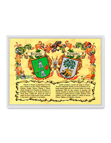 Foto heraldische schilden 2 achternamen, aluminium lijst (40x60 cm)