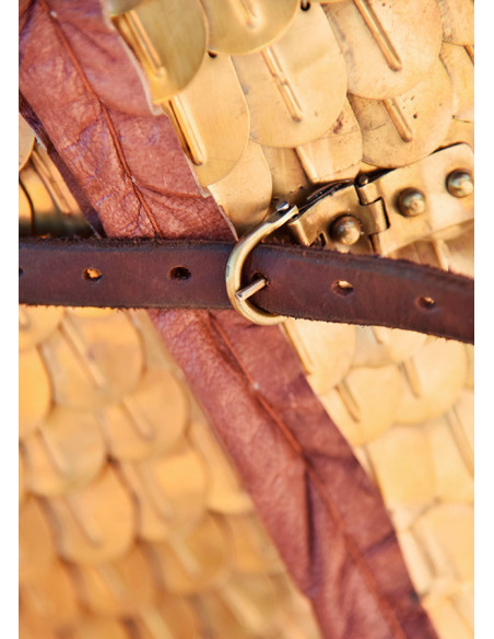 Romeinse Lorica Squamata met messing...