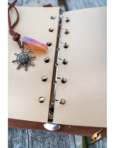 Sømandsdagbog i forskellige farver