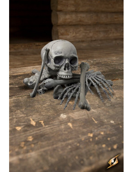 Menselijke botten, 18 stuks