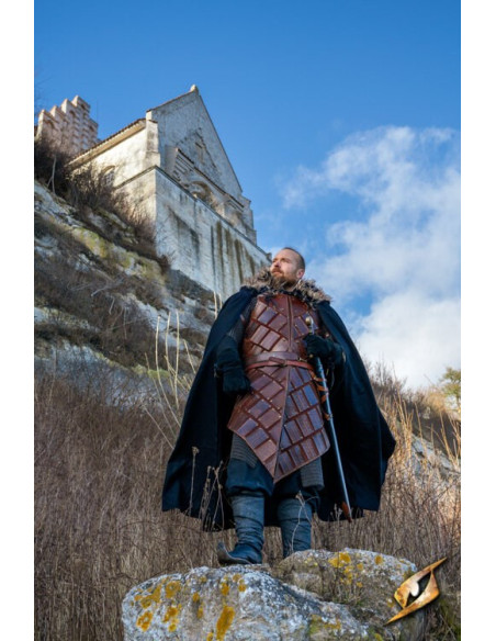 Het Brigantine-harnas van de...