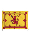 Royal Standard van de koning van Schotland (70x100 cm.)