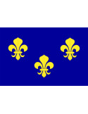 Estandarte-bandera de Francia antes de la Revolución (70x100 cms.)