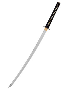 Katana-Praktiker John Lee, Schnittübungen