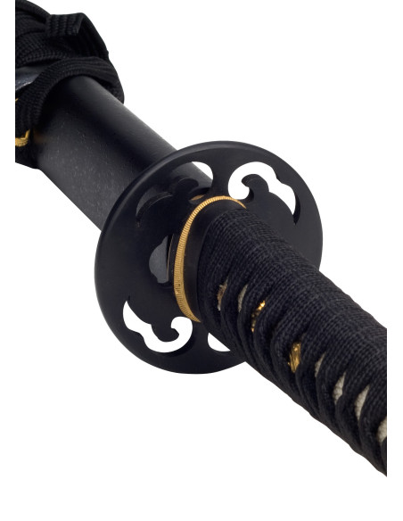 Katana Practical John Lee, prácticas...