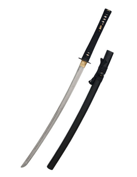 John Lee Ikusa trainiert Katana