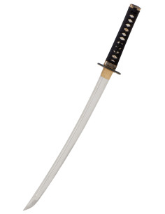 Wakizashi Iaito John Lee modelliert Zaza