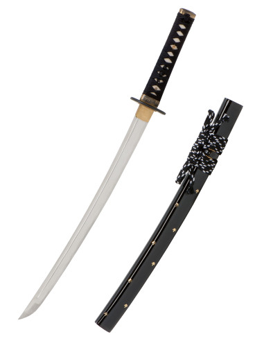 Wakizashi Iaito John Lee modelliert Zaza