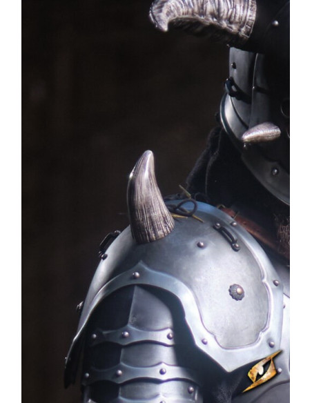 Set de 6 cuernos de demonio...