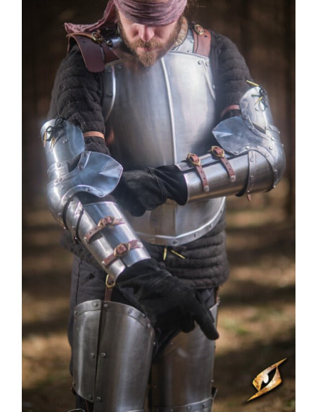 Armbeskyttere i poleret stål...