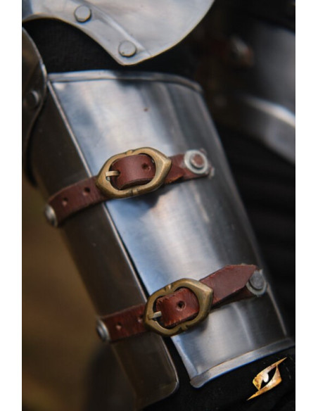 Gepolijst stalen armbeschermers...