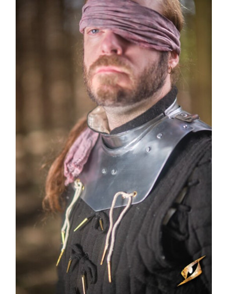 Ringkragen aus poliertem Stahl der...