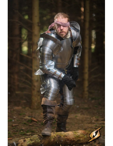 Beinschützer aus poliertem Stahl der Captain-Serie, Epic Armory