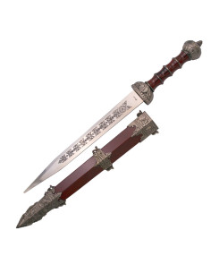 Gladiusdolk med skede