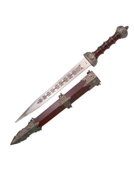 Gladiusdolk met schede Gladiusdolk met schede