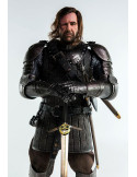 Funktionelt Geralt de Rivia-The Witcher sværd med skede