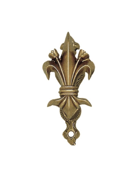 Gouden fleur-de-lis muurbevestiging