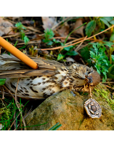 Tudor Rose Englische mittelalterliche...