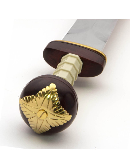 Funktionelt Spiculus Gladiator Sword Funktionelt Spiculus Gladiator Sword