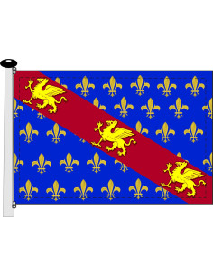 Bandera Medieval azul-amarillo dragones con flor de lis