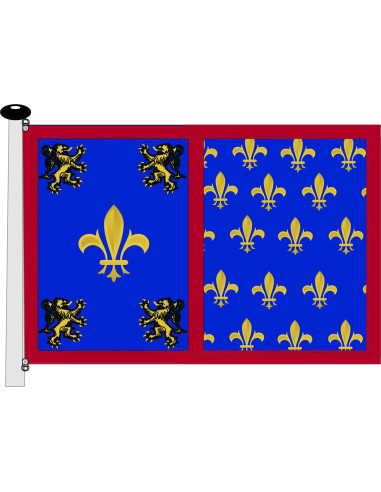 Mittelalterliches Banner blau-gelbe, zügellose Löwen mit Fleur-de-lis