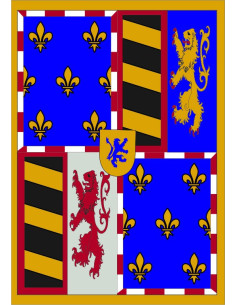 Middeleeuwse banner gevierendeeld spel leeuwen, fleur de...