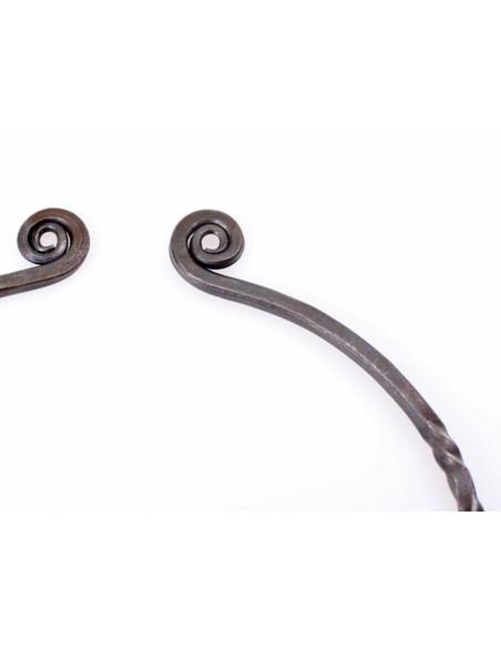 Celtic Neck Torque met spiraalvormige...