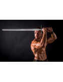 Silver Sword Geralt of Rivia, the Witcher, Netflix-version