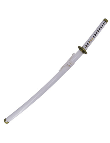 Basic Practice Katana Shusui Wado Ichimonji Zoro One Piece