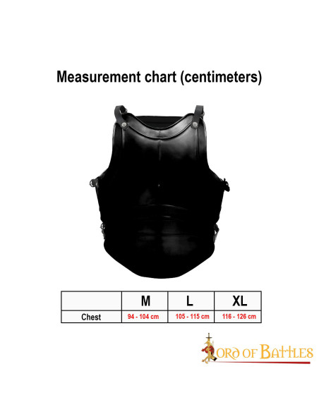 Classic Cuirass Fantasy fire plader,...
