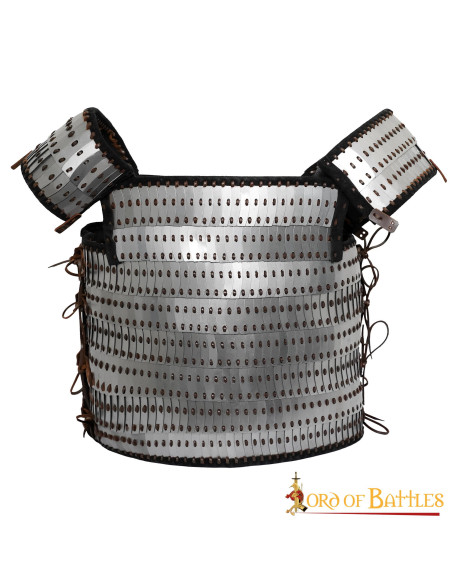 Visby schaal lamellair viking pantser