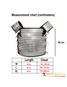 Visby schaal lamellair viking pantser 2